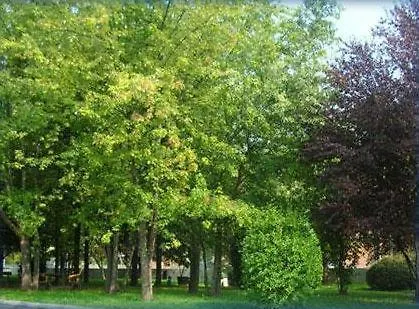 Pamela Отель Сан-Пьетро-ин-Казале